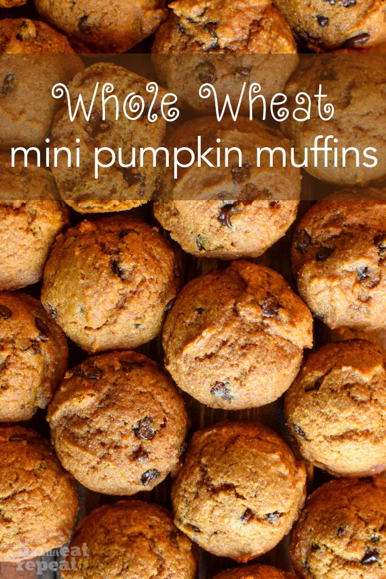 Whole Wheat Mini Pumpkin Muffins. - Run Lift Eat Repeat