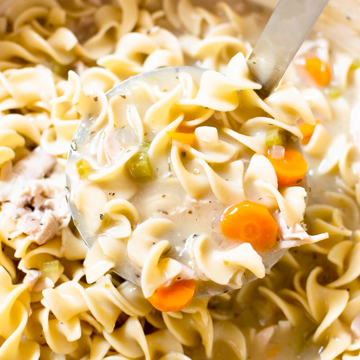 Easy Creamy Chicken Noodle Soup • Salt & Lavender