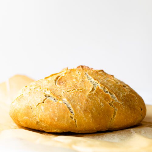 By Course By Savory Options By Method
By Dietary Preferences By Holiday .wp-block-search { margin: 57px 0; padding: 0; }
.wp-block-search button { display: none; visibility: hidden; }
.wp-block-search__label { position:absolute; left:-10000px; top:auto; }</p>
<p>.wp-block-search { display: flex; flex-wrap: nowrap;
}</p>
<p>.wp-block-search .wp-block-search__input { max-width: 100%; background: rgba(32, 32, 32, 0.05); height: 60px; font-size: 22px; .wp-block-search { display: flex; flex-wrap: nowrap;
}