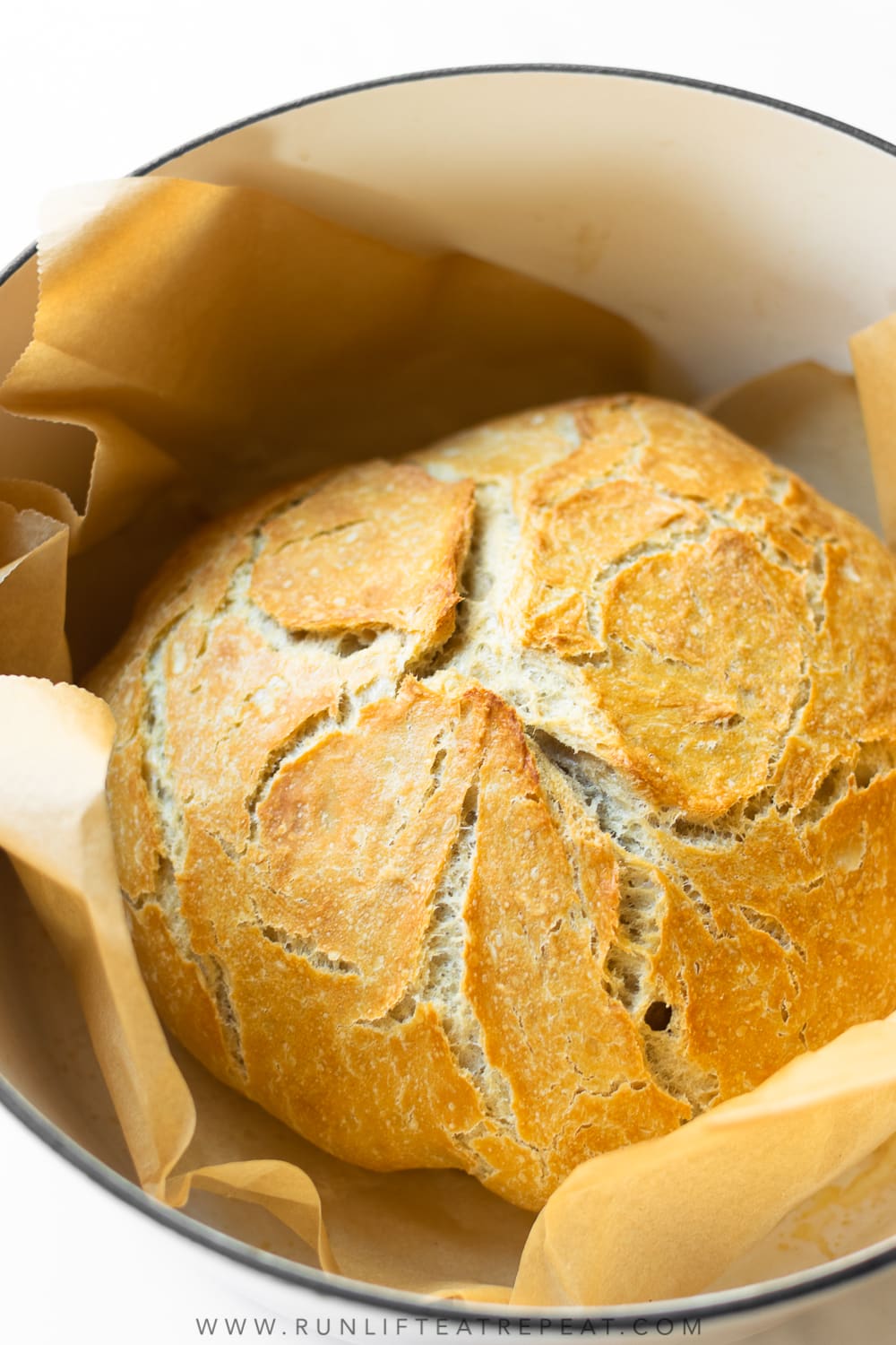 Dutch Oven No Knead Bread (with perfect crusty crust!) - Bowl of