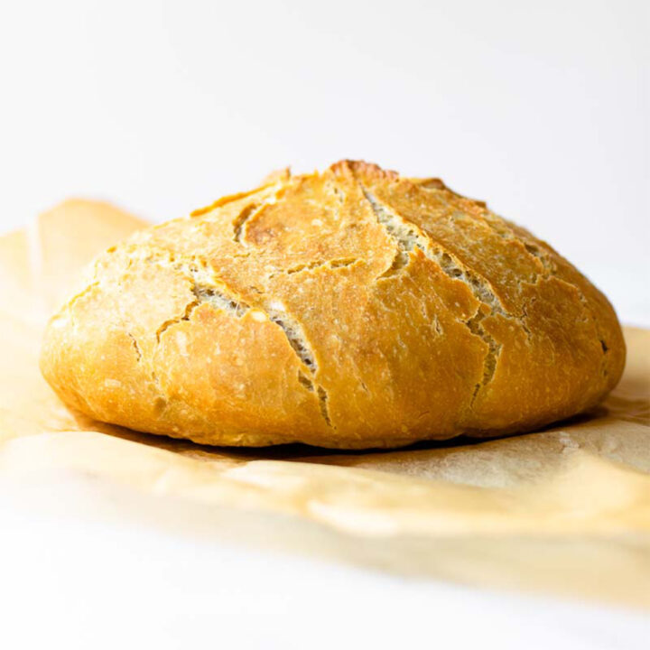 Making homemade bakery-style bread has never been easier. This extra crusty no knead bread is baked in a dutch oven and requires almost no hands-on work!