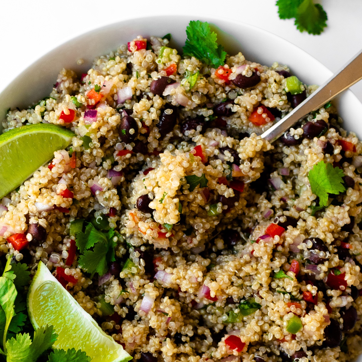 This vibrant and fresh Mexican quinoa salad – essentially a party in a bowl, if you will. Loaded with quinoa, bell peppers, red onions, black beans, and combined with a fresh cilantro lime dressing. This bold flavored dish will enhance any meal.