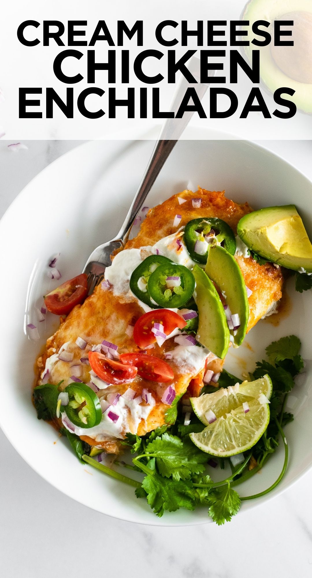 Easy Chicken Enchiladas (Just 35 Minutes!) - Simple Everyday Recipes