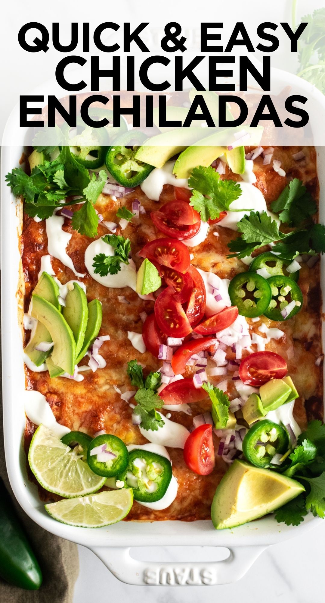 Easy Chicken Enchiladas (Just 35 Minutes!) - Simple Everyday Recipes