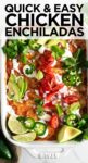 chicken enchiladas recipe