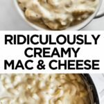 creamy macaroni and cheese