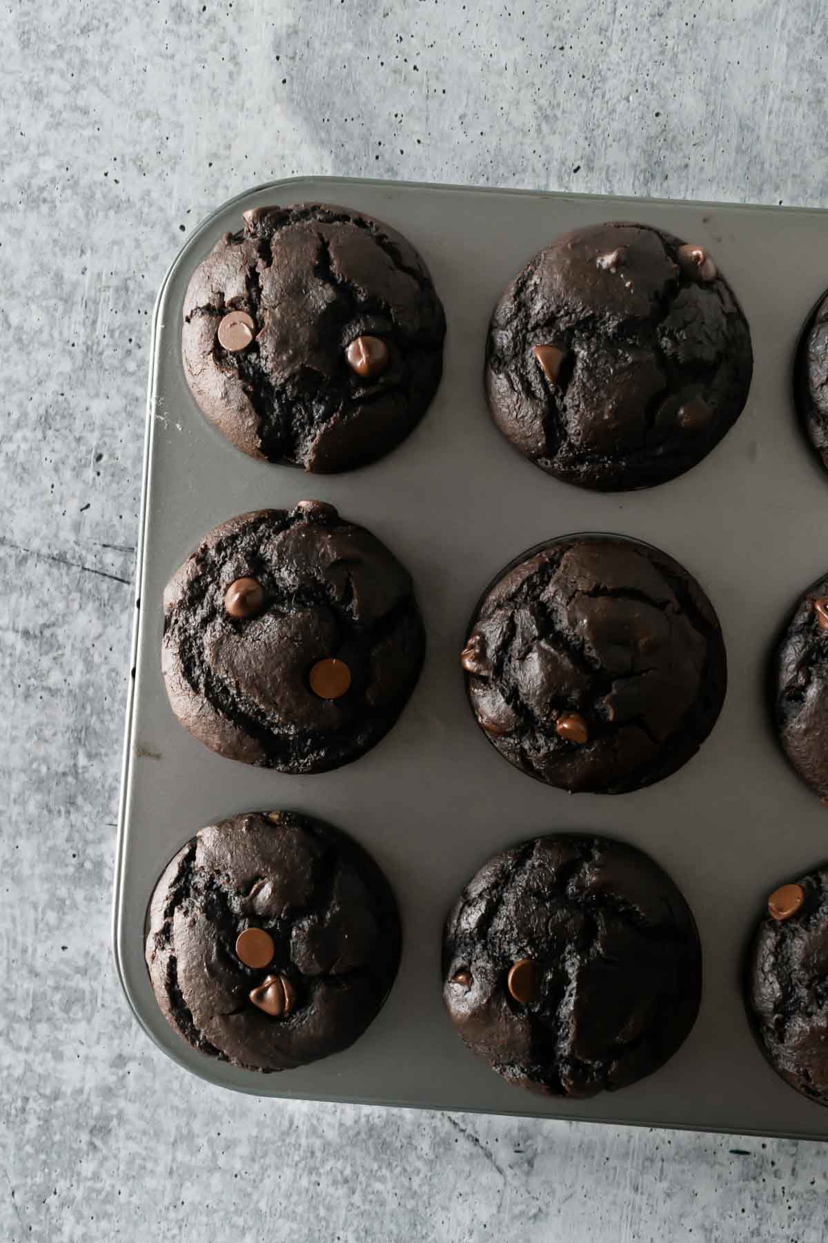 baked pumpkin chocolate muffins in a muffin pan.