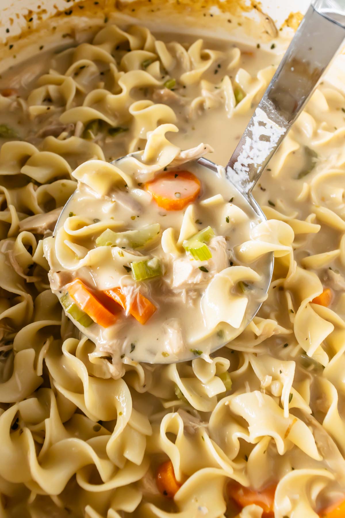 homemade creamy chicken noodle soup in a pot with a ladle.